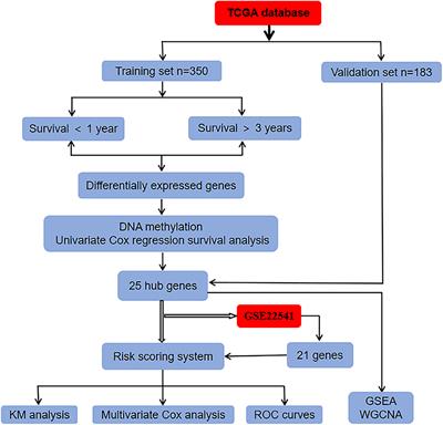 The Landscape of Iron Metabolism-Related and <mark class="highlighted">Methylated Genes</mark> in the Prognosis Prediction of Clear Cell Renal Cell Carcinoma